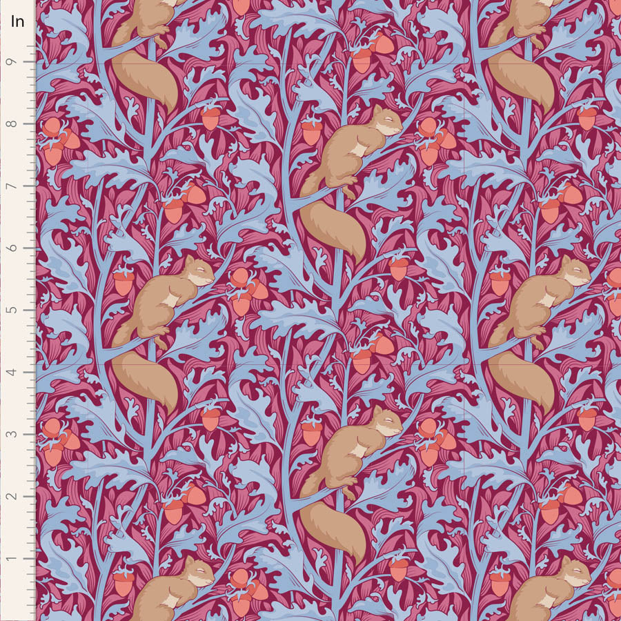 100530 Squirel Dreams - Hibiscus