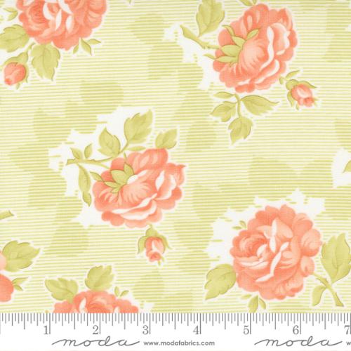 M20450 22 Harvest Rose on Sprout