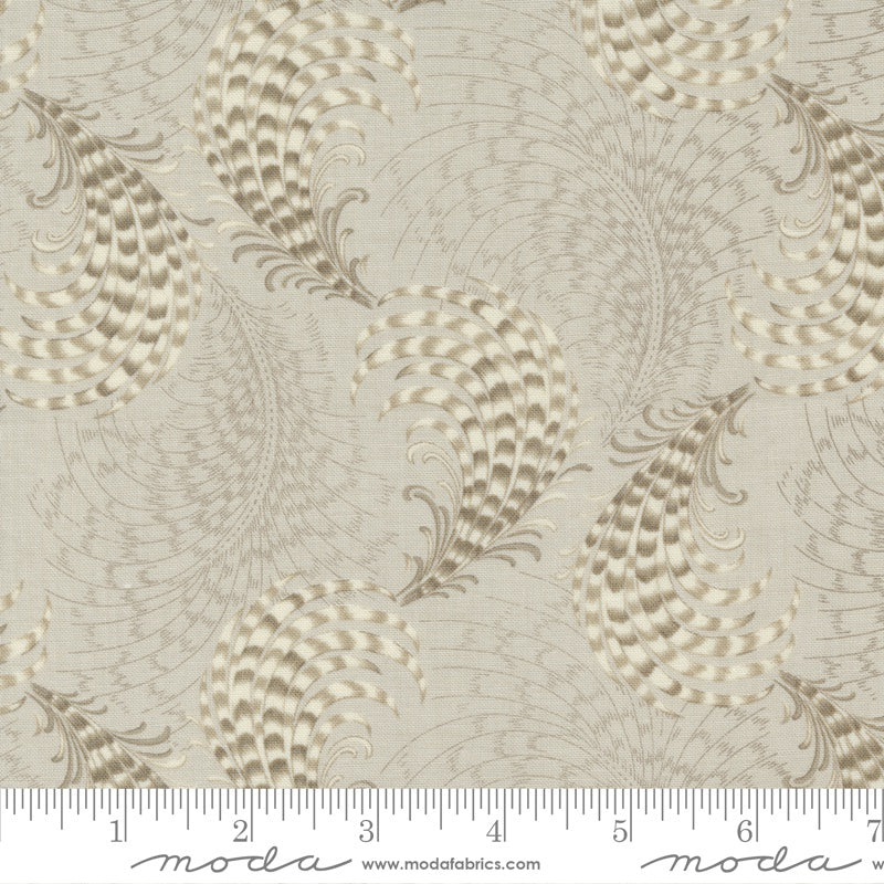 M13933 12 Feather in Cream
