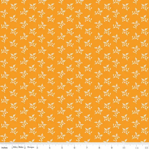 C15164-cheddar