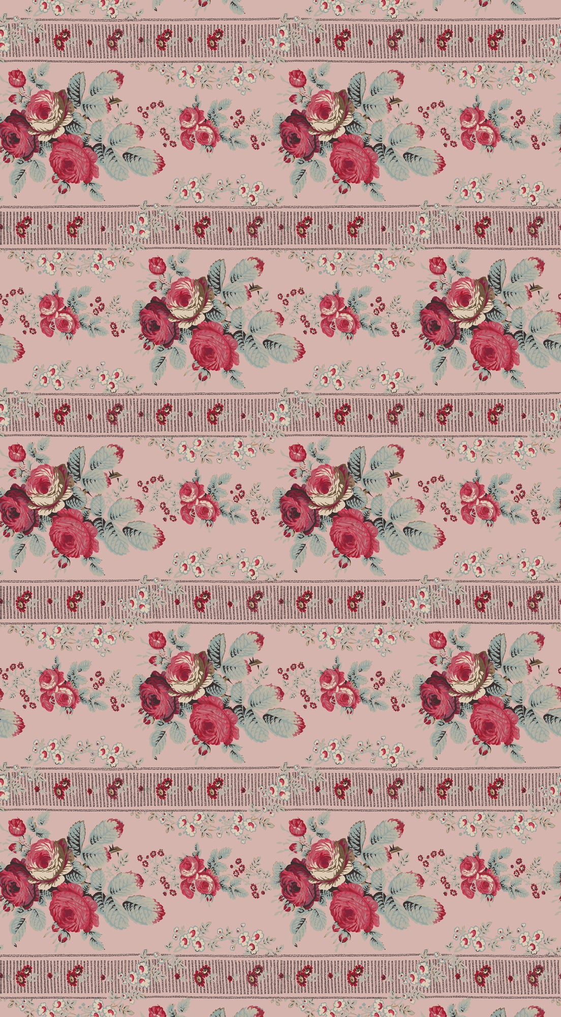 DV5116 Delphine 2