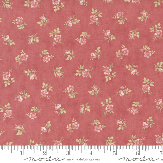 M44316 14 Tranquility in Rose