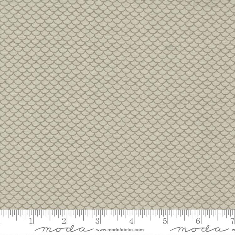 M13937 12 Scallop in Cream