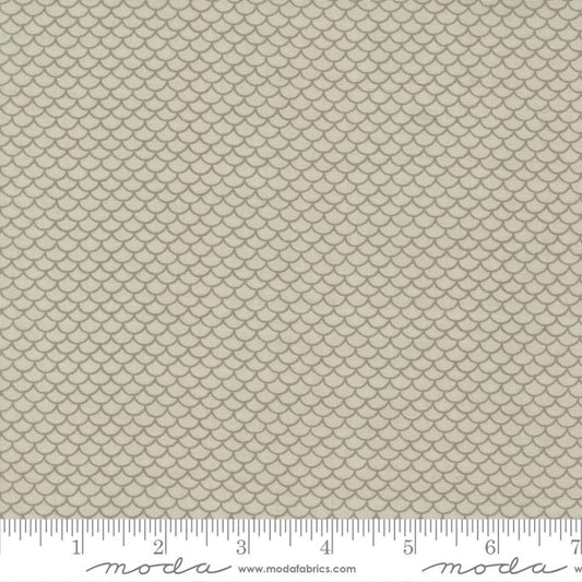 M13937 12 Scallop in Cream