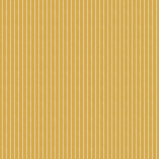 160062 Stripe in Yellow