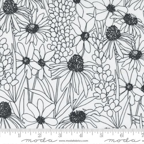 M11511 11 Black Wildflowers on Paper