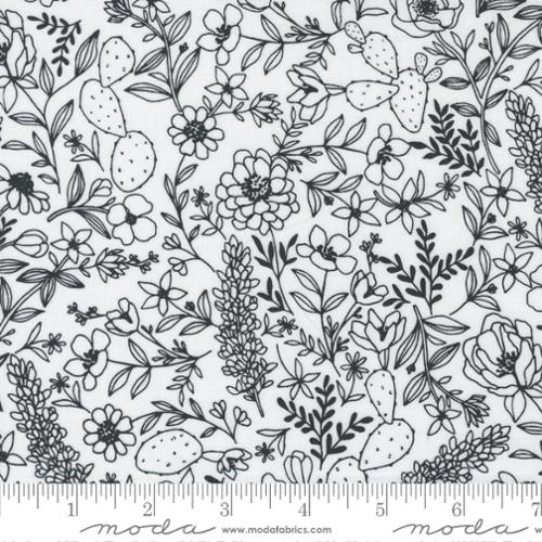 M11513 11 Black Cacti & Wildflowers on Paper