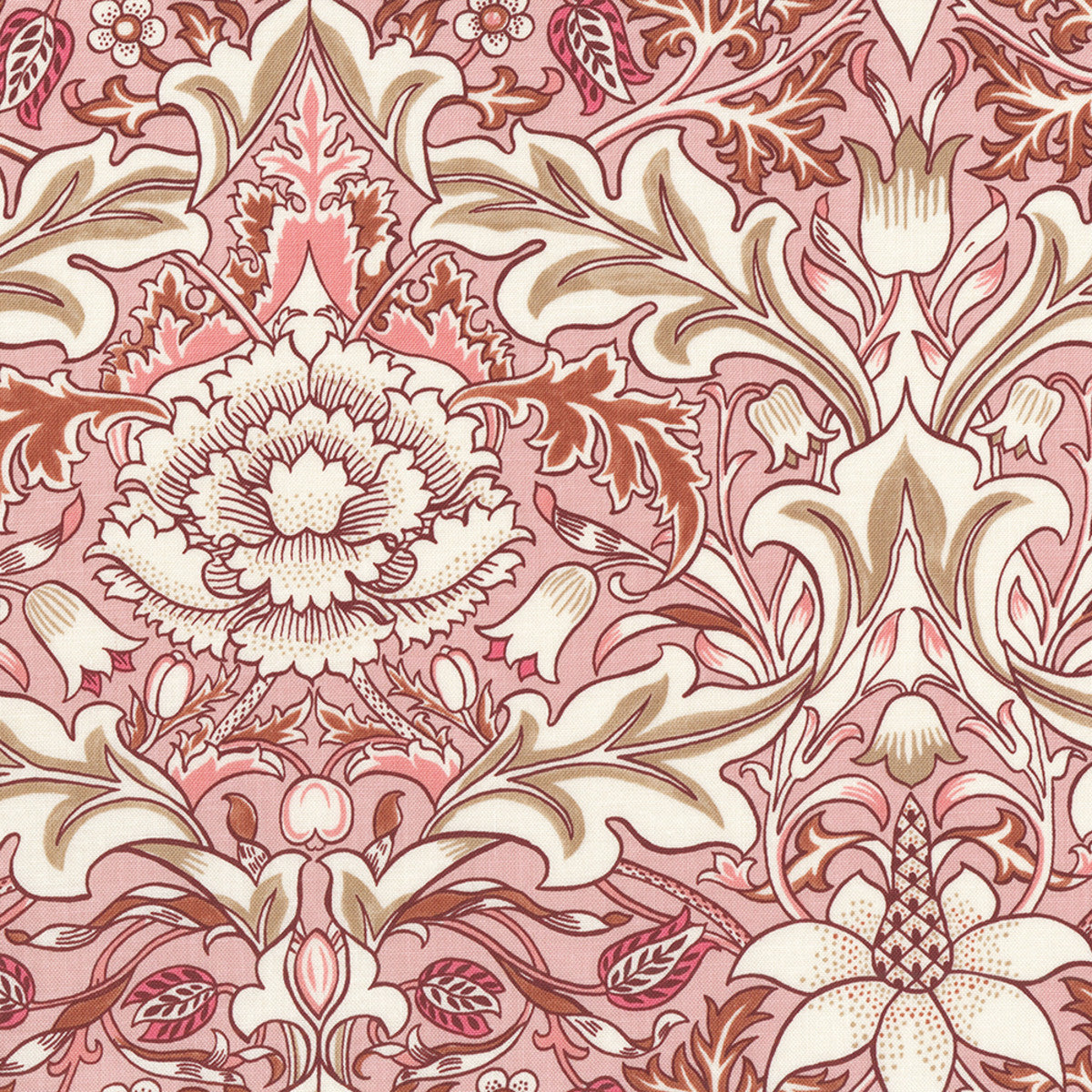 PW WM082 Severne in Coral