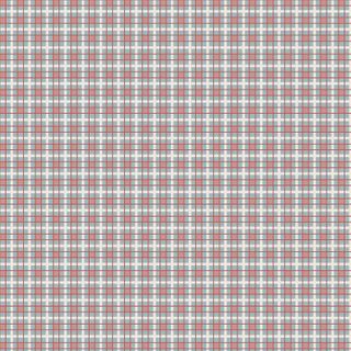 DV3975 Check Light Blue Woven