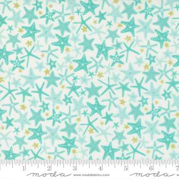 M20796 31 Sea Stars in Seafoam
